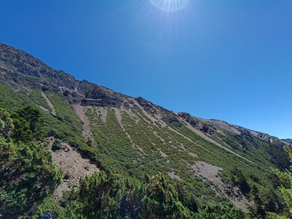 玉山主/東/南/東小南4座百岳（全程大景）1868771