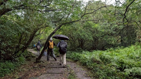 114.11.01旅聯網21週年活動之七星山-七星山東峰-七星公園-夢幻湖2928898