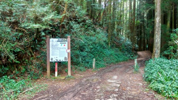 石山引水道👍瀑布1599450