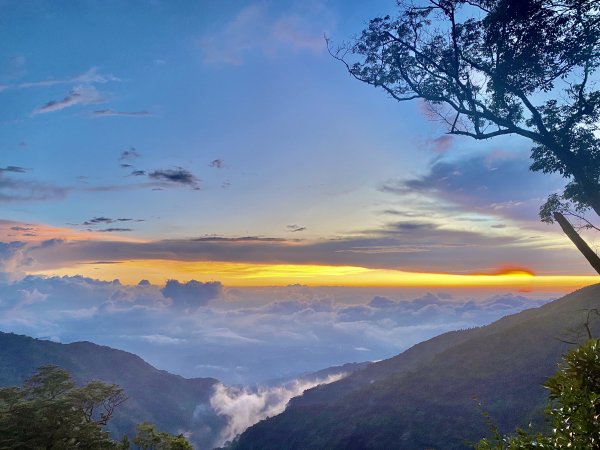 橫嶺山步道泡茶趣    2024/7/42547128