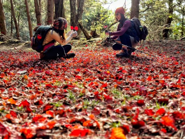 北三錐山 大雪山 200林道 賞楓行2373122