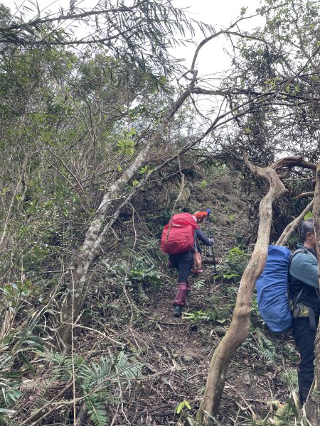 坪林烏窟子山2685883