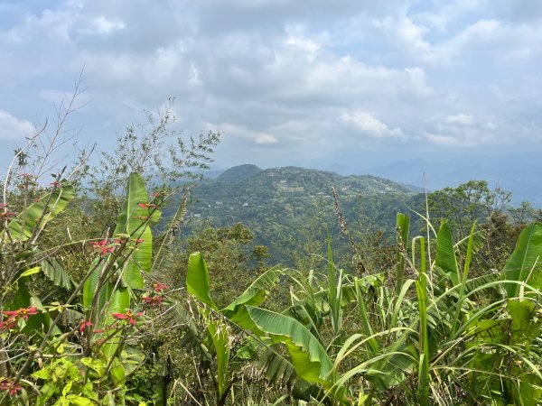 20250407_關刀山步道（苗栗小百岳）2855752