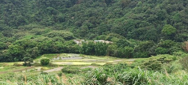 百年嵩山梯田&阡陌步道3051321