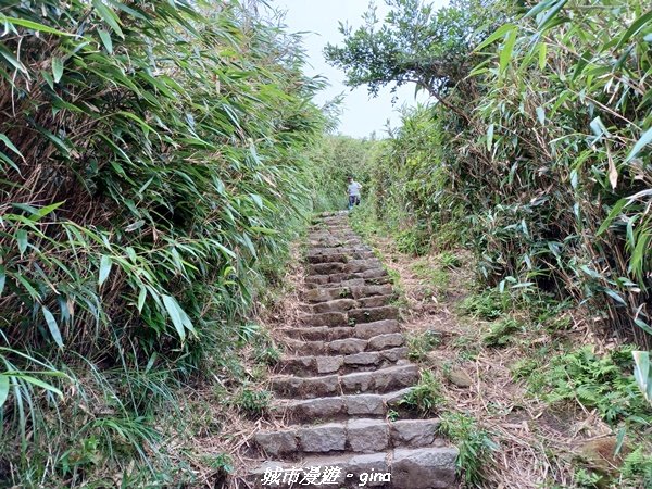 【台北北投】搭捷運公車爬山趣。 小百岳集起來。編號2小百岳~七星山步道1766563