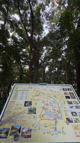 新化中興林場3106691