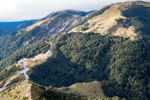 合歡北峰-圓柏的視野466859