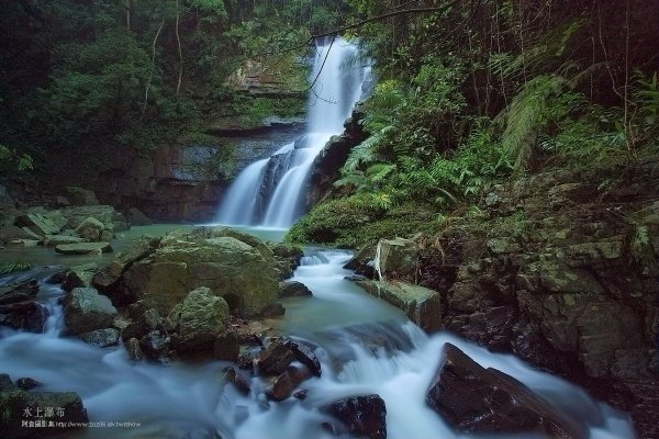 澀水水上森林步道一景748333