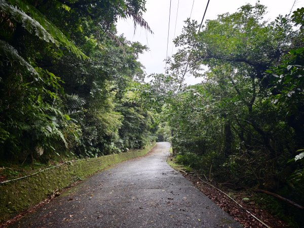 [淡蘭古道] 2026_0614 北路第三段_道路3075525