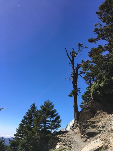 玉山西峰、主峰行452254