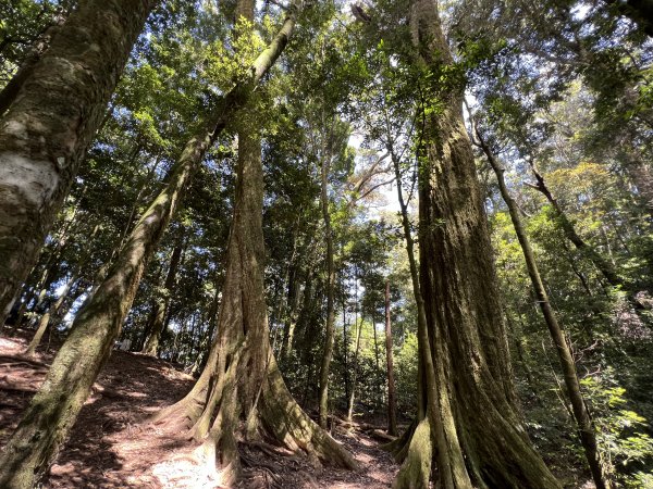 鳶嘴山西稜線標準O形1865640