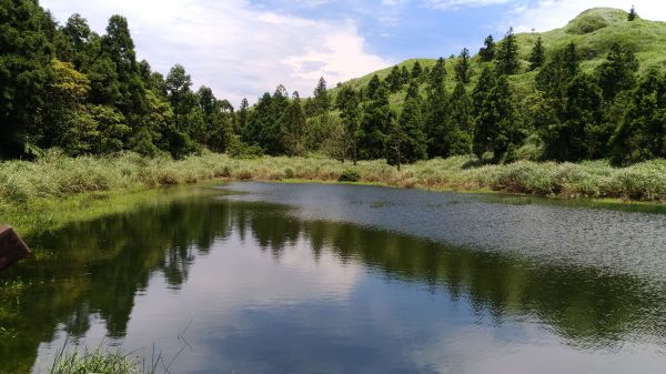 醉在.......如夢似幻138162