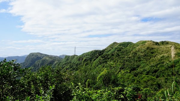 大溪,灣坑頭山,福隆790056