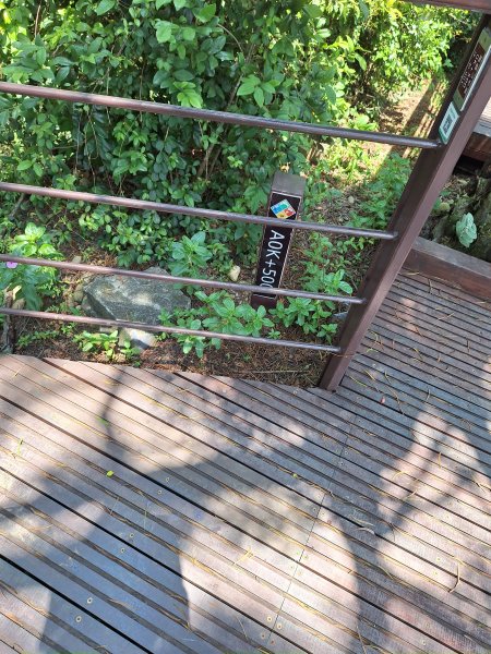 田中麒麟山森林步道202508172862028