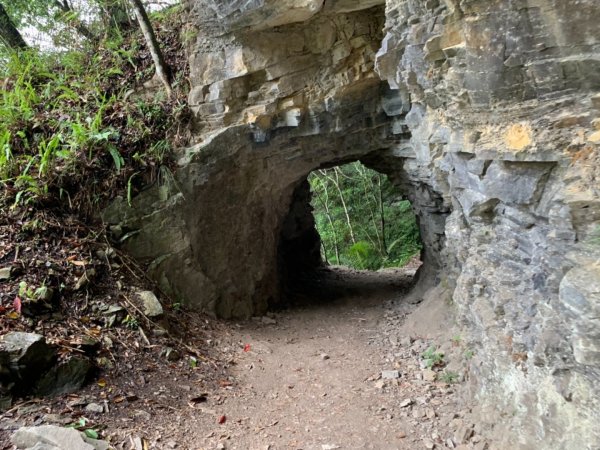 白牆版錐麓古道487184