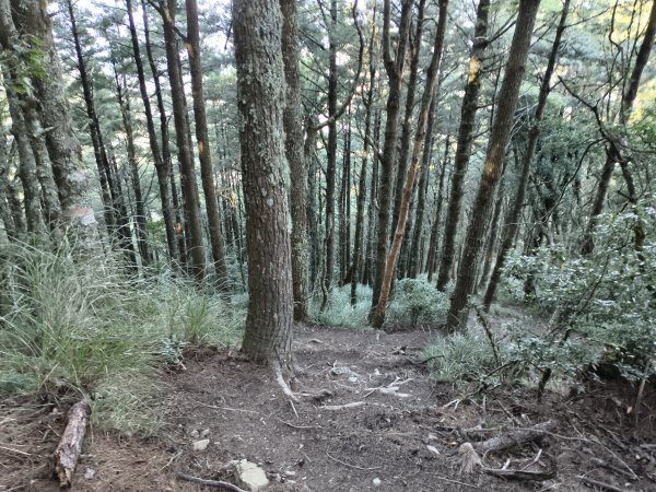 北一段(02/14)多加屯前峰2025_0906~132885117