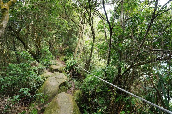 臺北 二格山、南邦寮山、阿柔洋山2570417