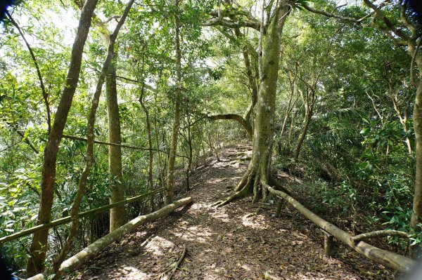 新竹 峨嵋 猿山、六寮山、玖玖山、獅頭山、獅尾山3012135