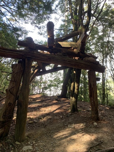 20251018台中八仙山2921444