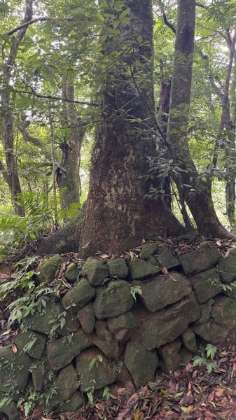115/7/4-加里山前山隘勇線到騰龍山大石壁P型(含分遣所巡禮）3081962