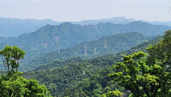 風露嘴桐花步道，粗坑崙，粗坑崙西南峰，新店十七寮山，紀州庵，嘉禾新村，古亭河濱公園，台北市客家文化主題公園，華山文創園區，大安森林公園，榕錦時光生活園區