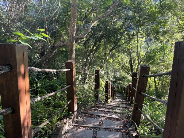 [玉山尋寶任務-03/12] 2025_0810 瓦拉米步道2857415
