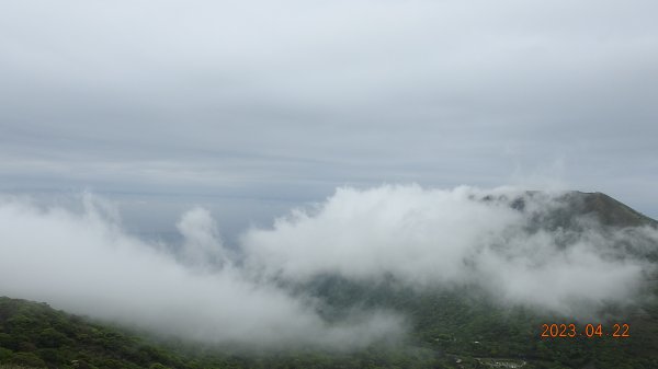 再見陽明山雲瀑，大屯山雲霧飄渺日出乍現，小觀音山西峰賞雲瀑。2123384