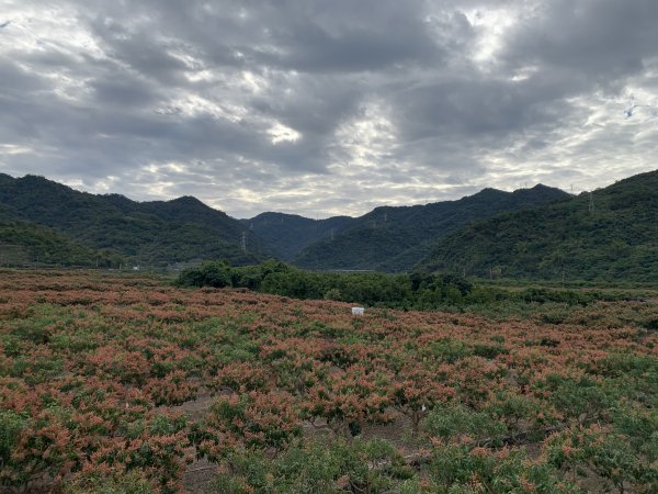 20250130屏東北湖呂山-古華山2705887