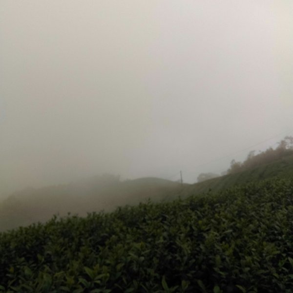 雲嘉五連峰O型環狀684871