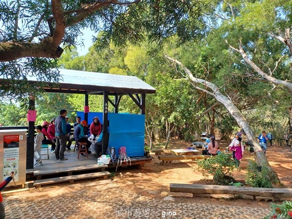 【台中大肚】綠蔭成徑。 大肚萬里長城步道O繞2790783