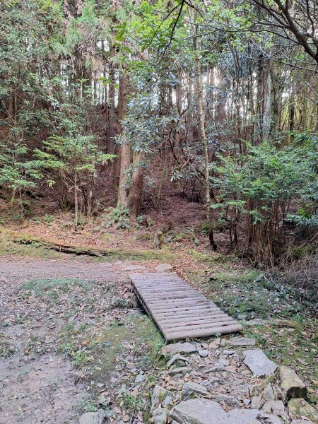 觀霧之榛山O型202411232653898