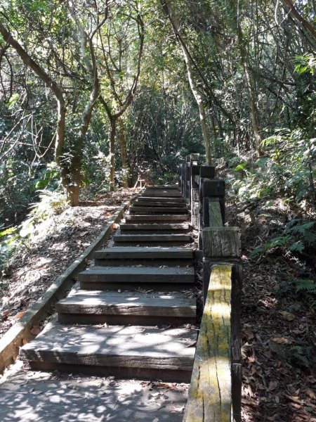 台中大坑步道7上6下20181027444593