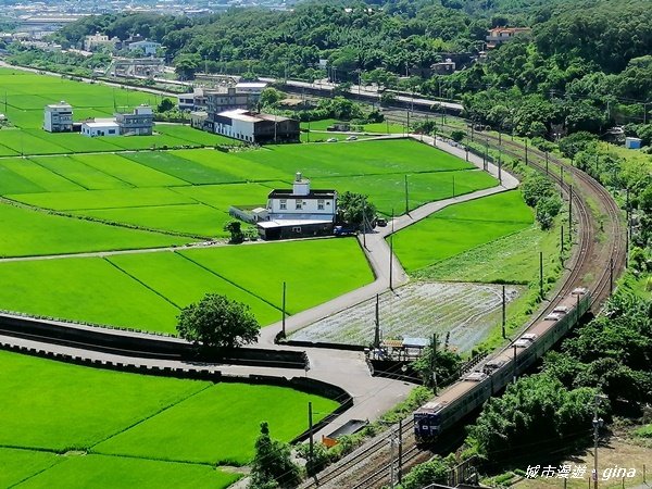 【苗栗。造橋】迷人的C型鐵道還有綠油油的稻田。鄭漢步道