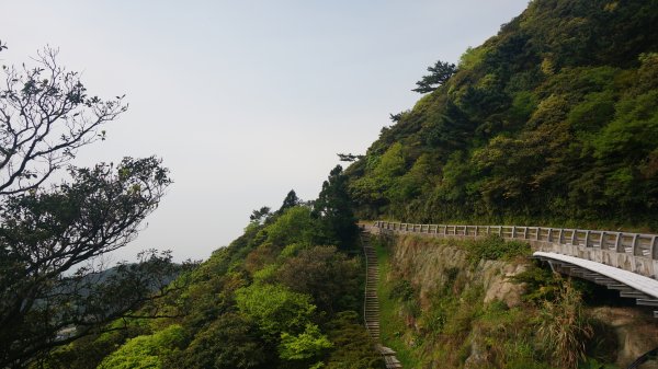 陽明山西段縱走 O形1916258