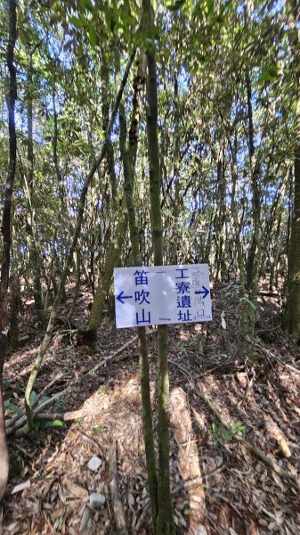 【細說大雪山木馬古道】橫嶺山、沙蓮山、笛吹山O繞2921090