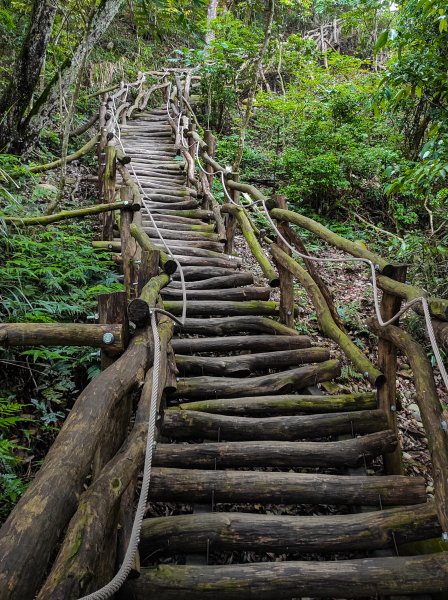 大坑3號登山步道1684749