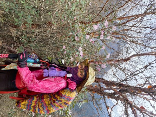 尼泊爾聖母峰EBC基地營❤️人物篇2791271