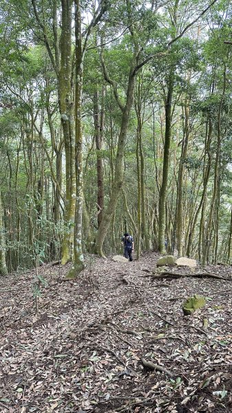 崩潰陡上的水雲三星～鳥嘴山（上島山）2095300