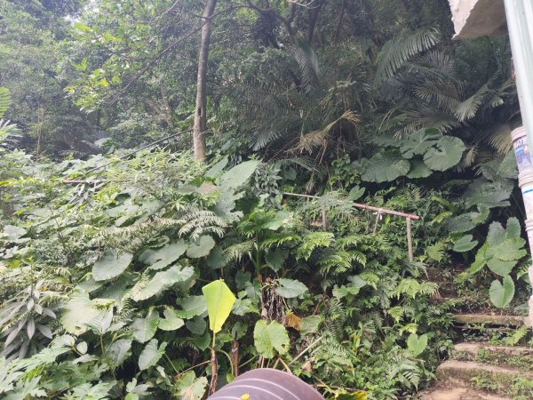 微笑山線：【天上山系】烘爐地土地公段：南勢角山2959356