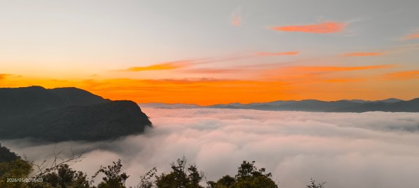 #新店四十份 #翡翠水庫壩頂 #日出 #雲海 #火燒雲 #藍腹鷴 5/203057619