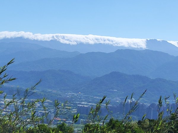 後花園散散步2936590