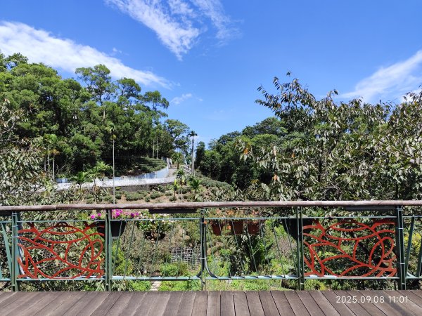 【臺北大縱走 7】2-1 樟山寺→樟樹步道→彩雲亭→相思炭窯→貓纜貓空站→指南路三段40巷2881774