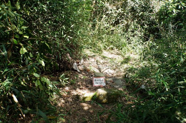 台中 和平 雪山坑山2925066