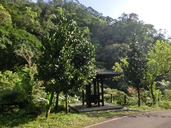 平湖森林步道．內平林山109262