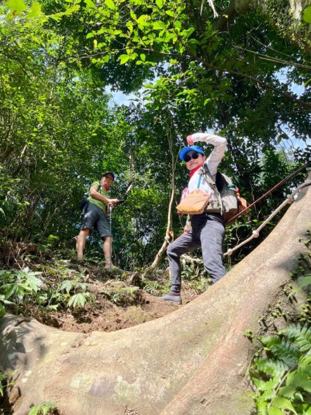 東勢大崙、東勢坑山、觀音湖山O走2986389
