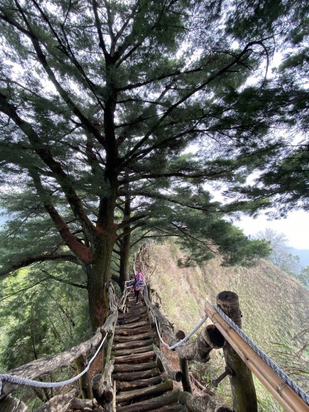 小百岳-大坑頭嵙山986466