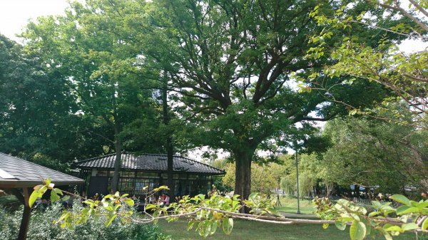 新竹麗池公園430302