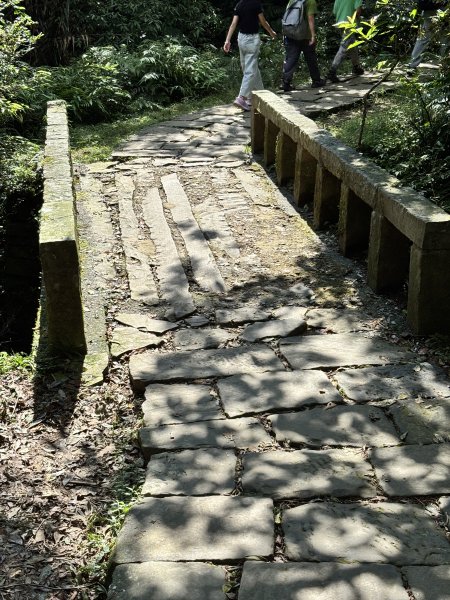 2025 芒草季 草嶺古道2932917