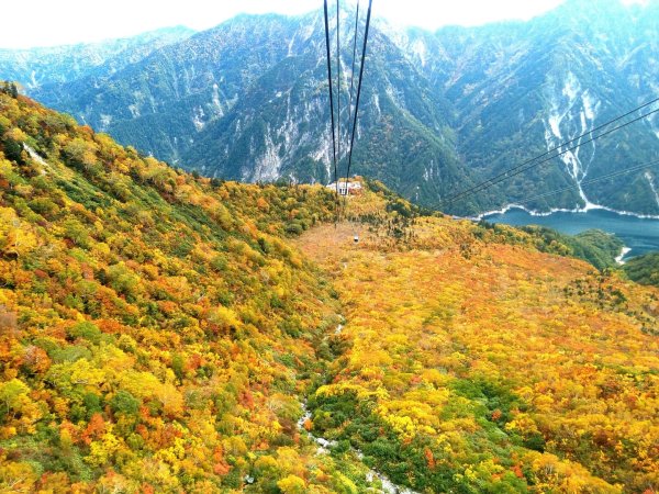 黑部立山秋行2933331