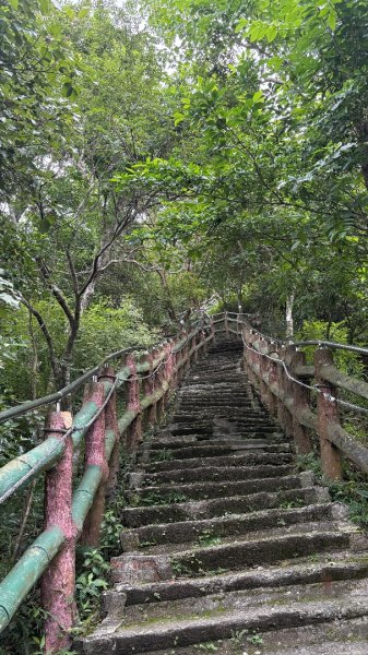 941（旗尾山2905662